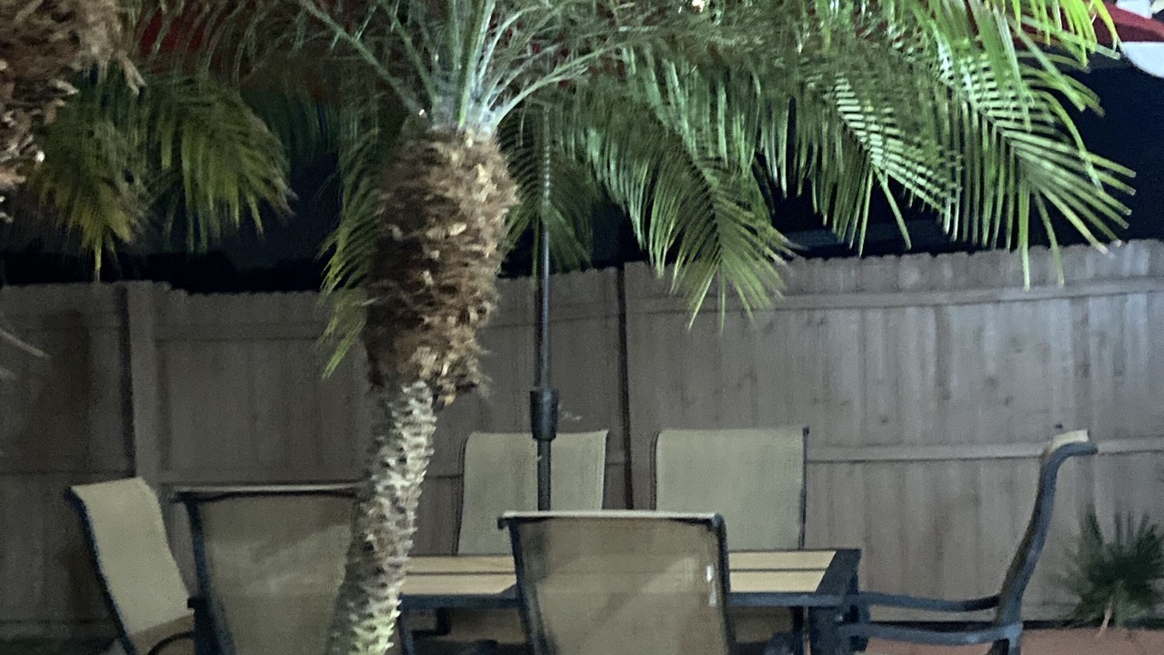Photo of Others in Mill Run