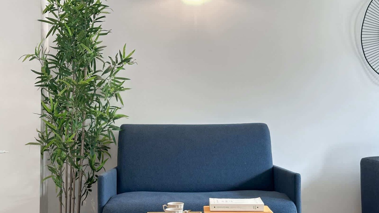 Photo of Livingroom in 15th Arrondissement