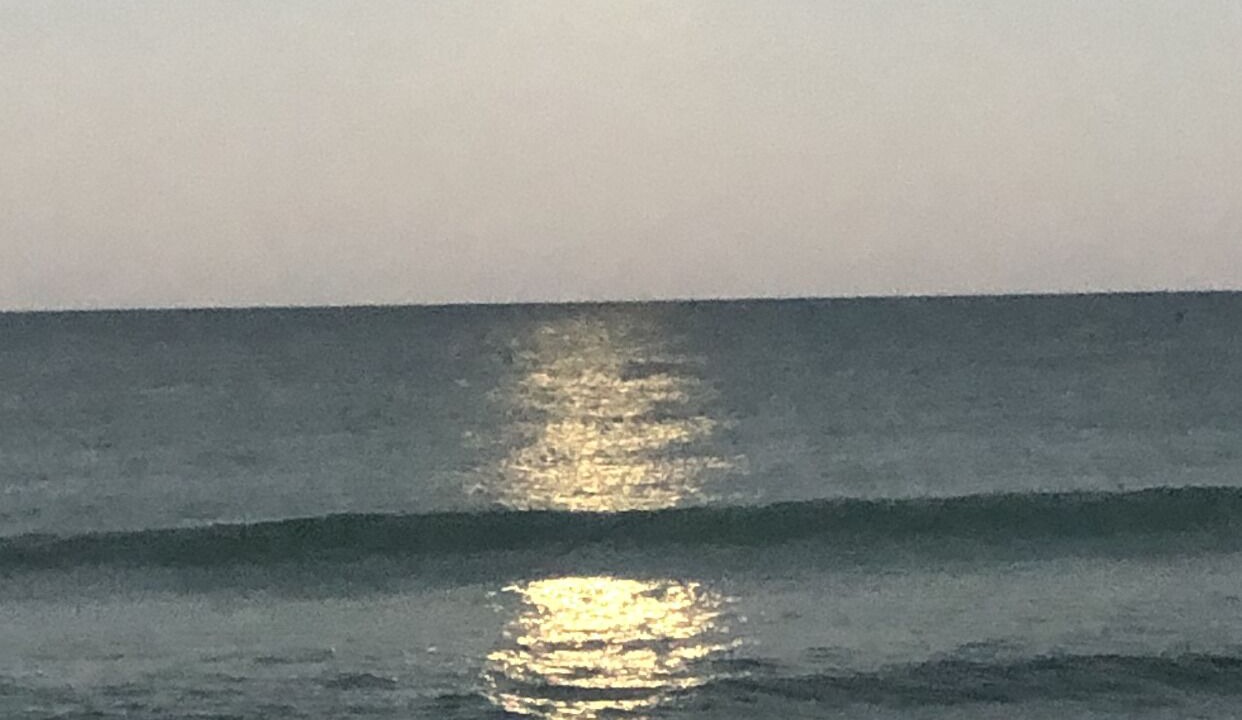 Photo of Others in Melbourne Beach