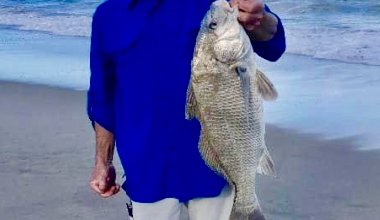 Photo of Others in Melbourne Beach
