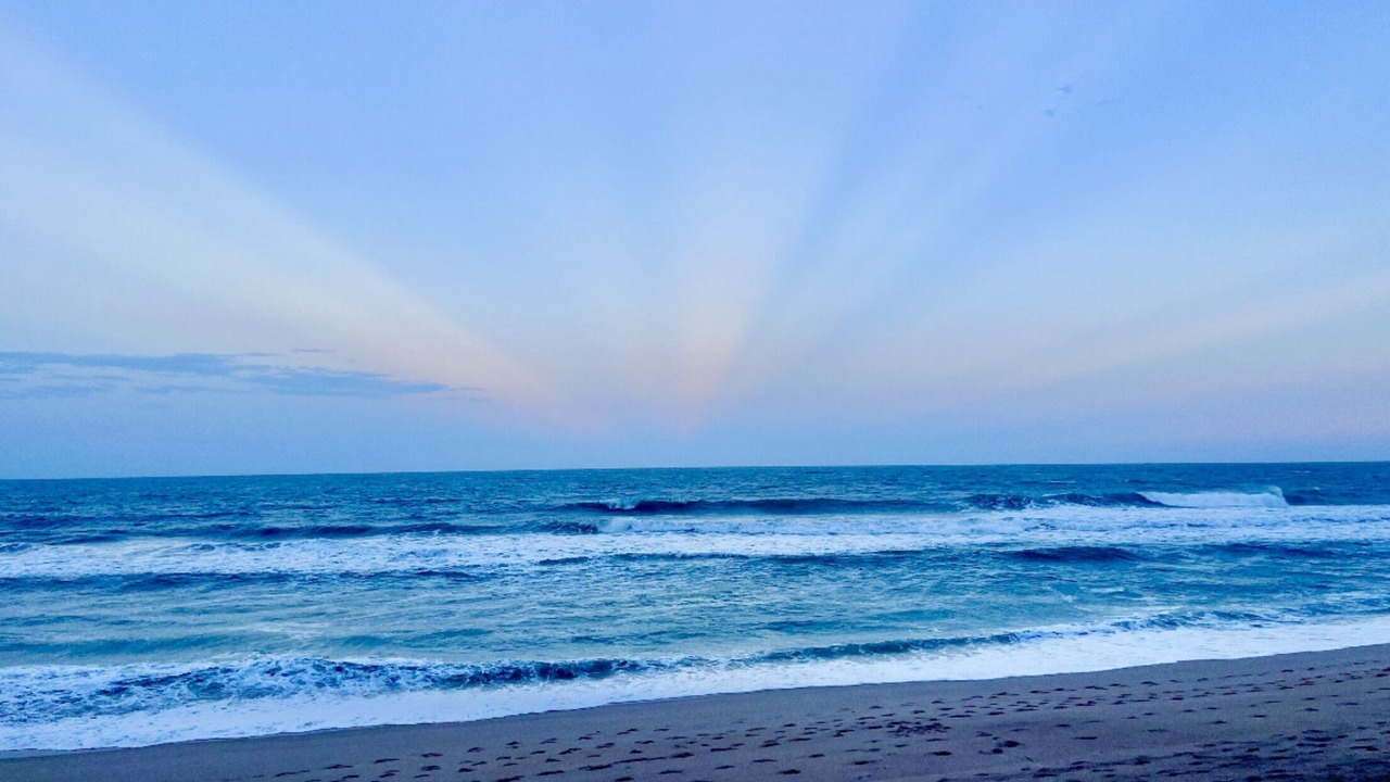 Photo of Others in Melbourne Beach