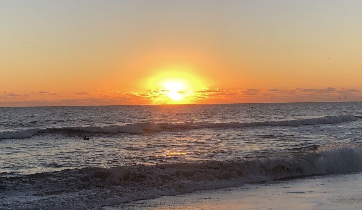 Photo of Others in Melbourne Beach