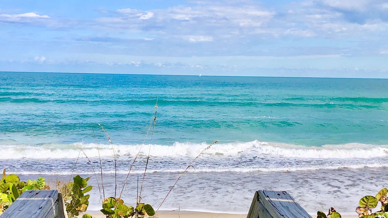 Photo of Others in Melbourne Beach