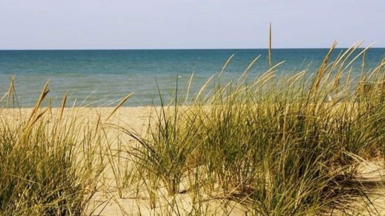 Photo of Others in Lambton Shores
