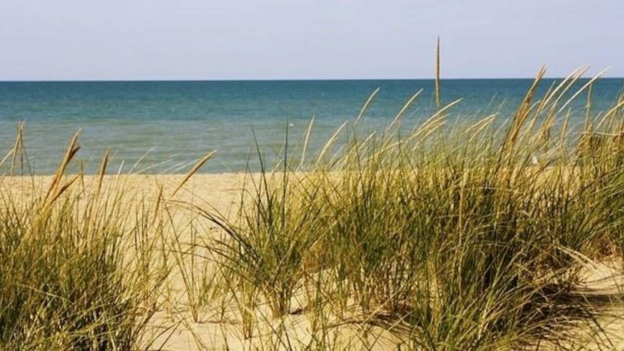 Photo of Others in Lambton Shores