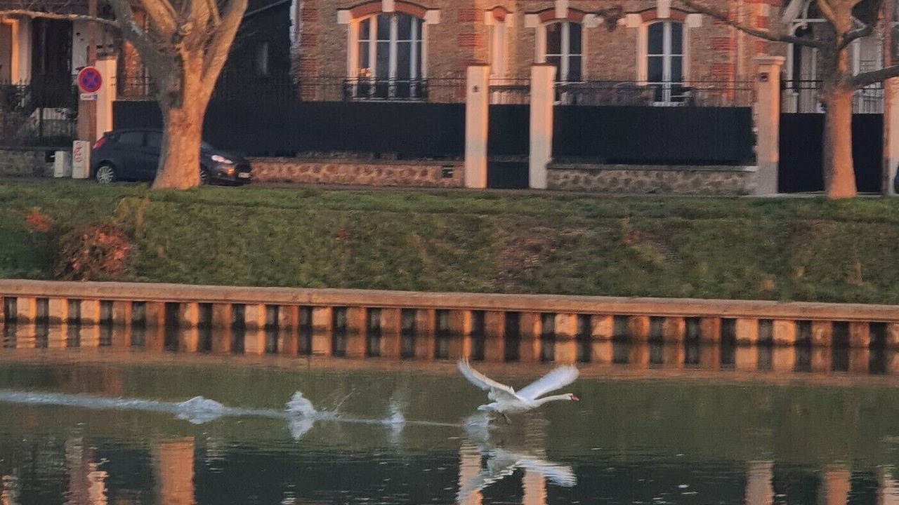 Photo of Outdoor in Lagny-sur-Marne