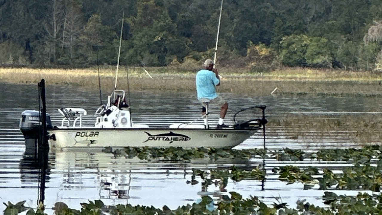 Photo of Outdoor in Fedhaven