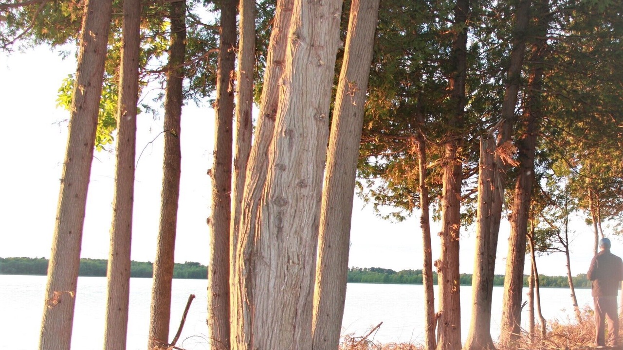 Photo of Others in South Bruce Peninsula