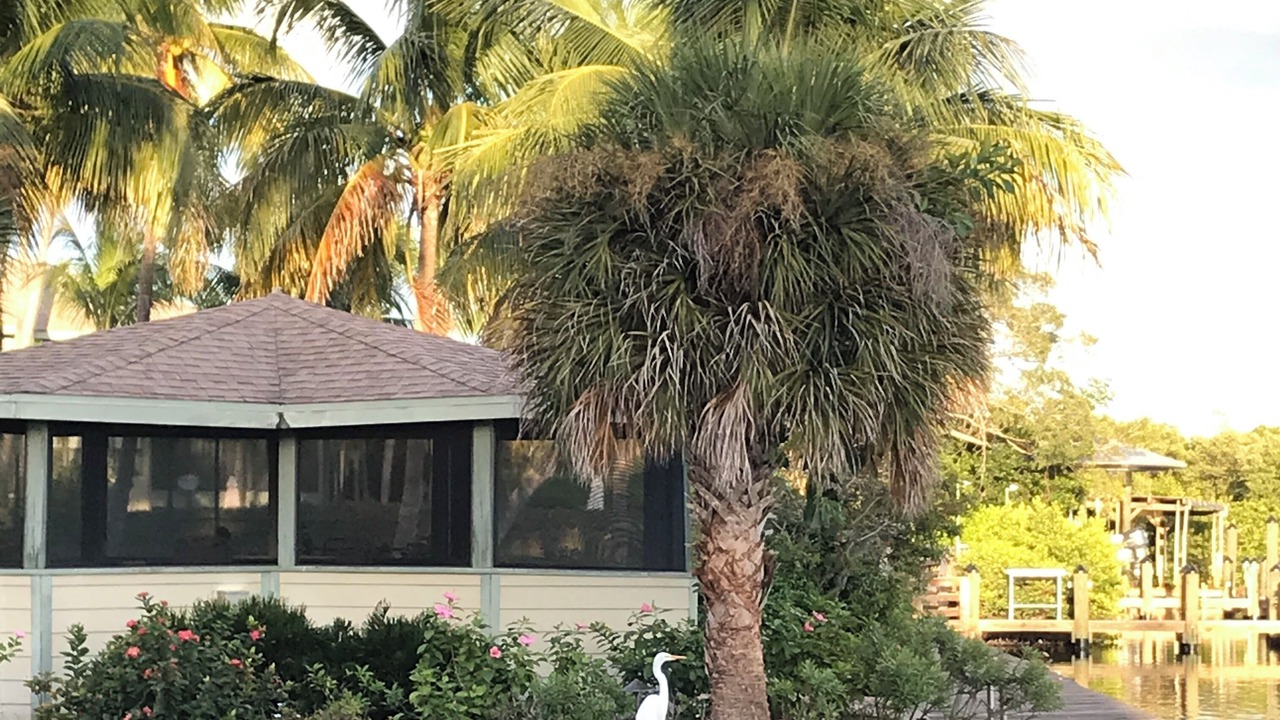 Photo of Outdoor in Bokeelia