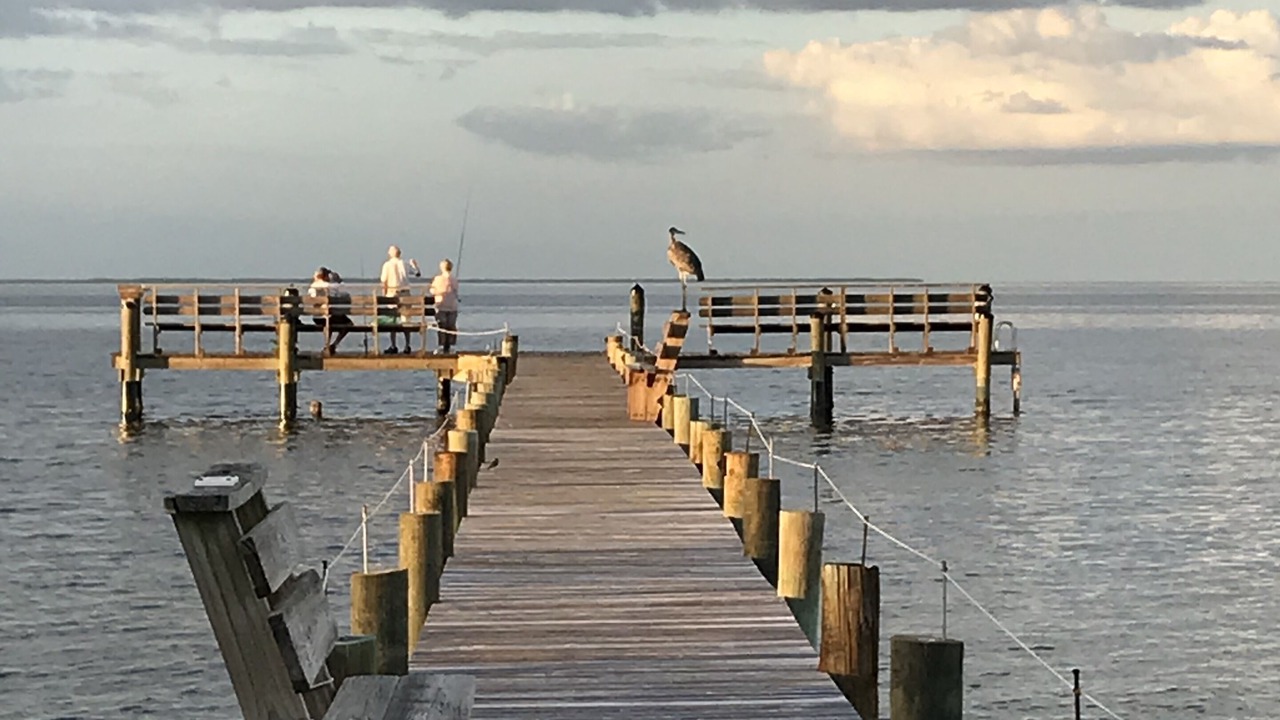 Photo of Others in Bokeelia