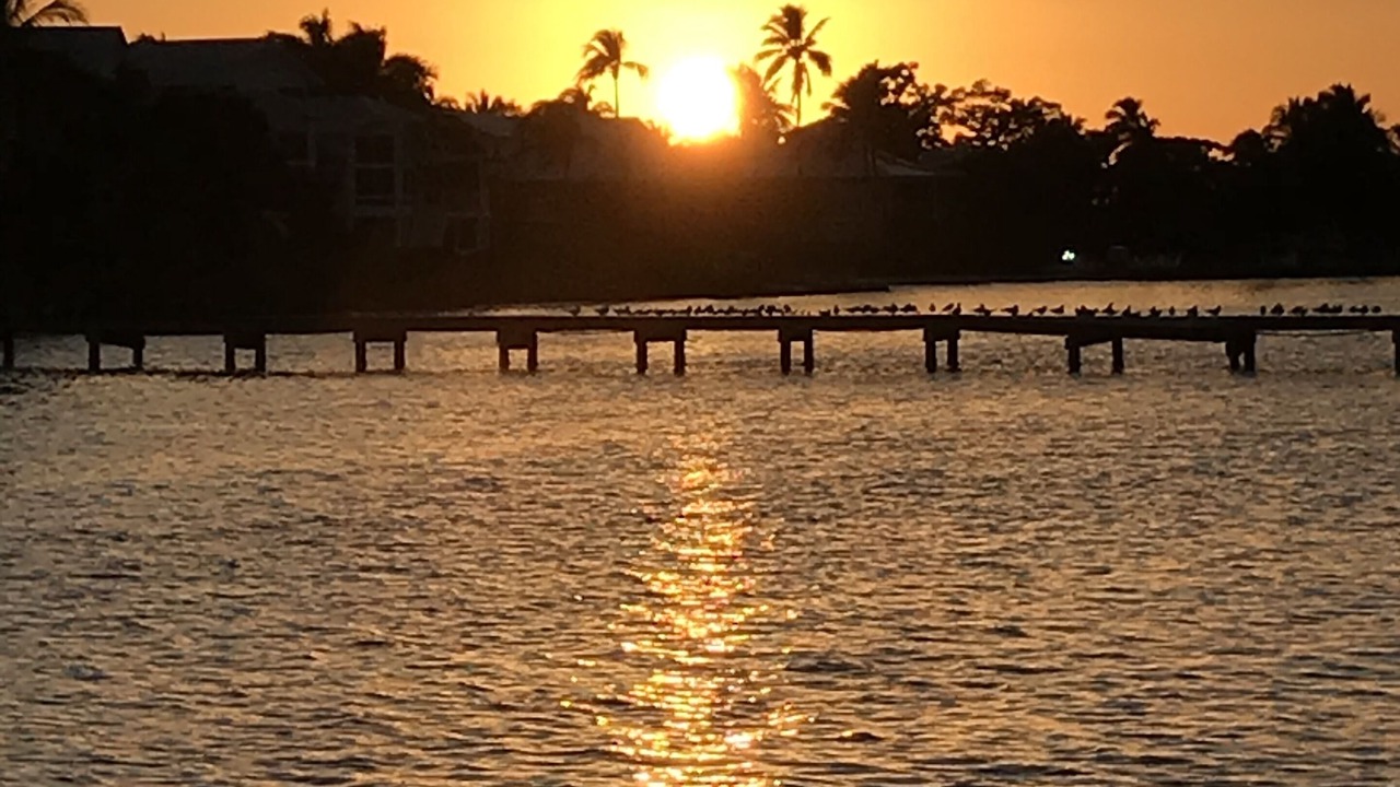 Photo of Outdoor in Bokeelia
