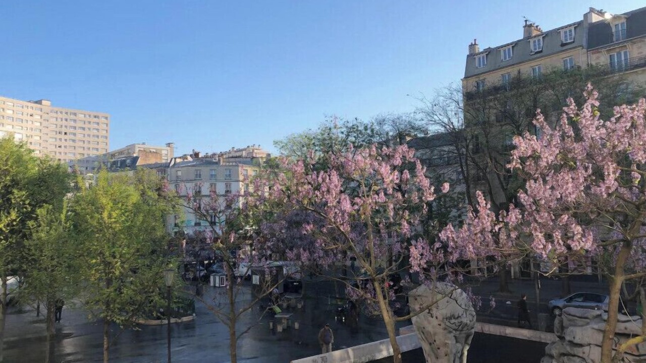 Photo of Others in Quartier Saint-Ambroise