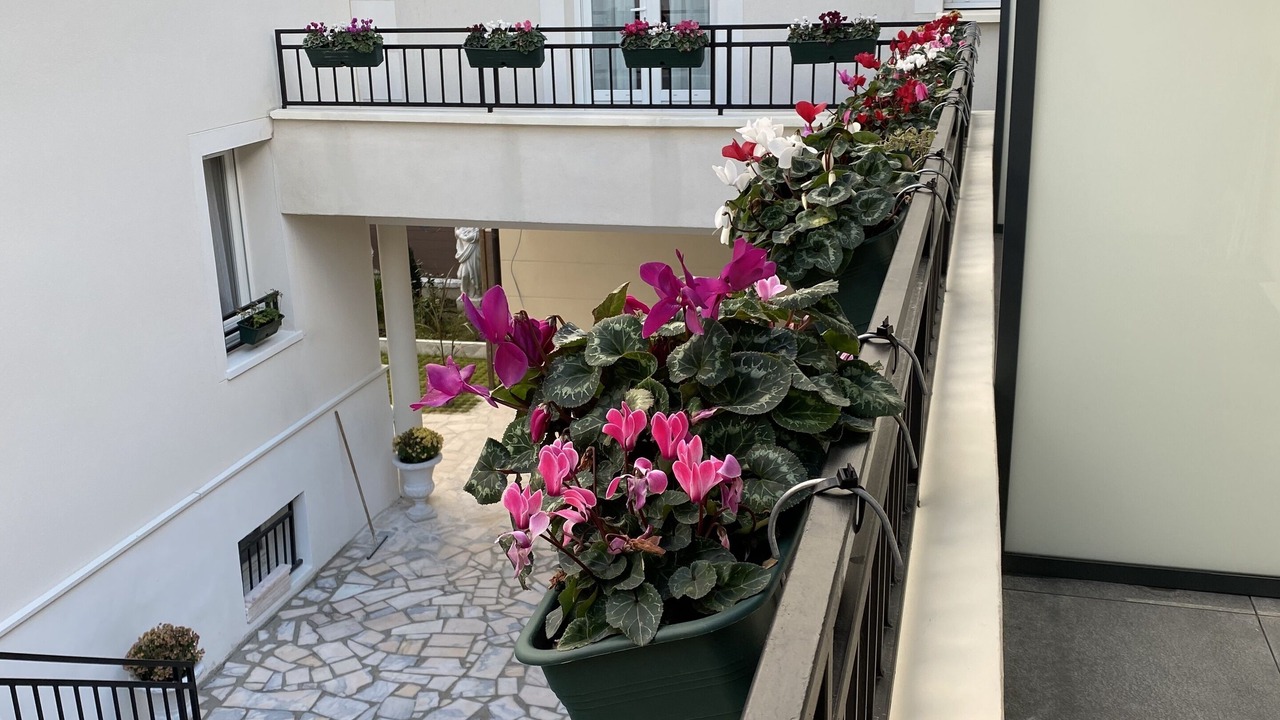 Photo of Outdoor in Alfortville