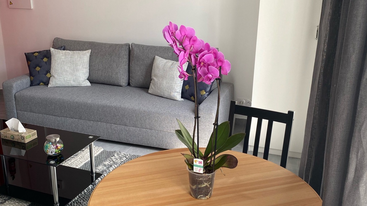 Photo of Livingroom in Alfortville