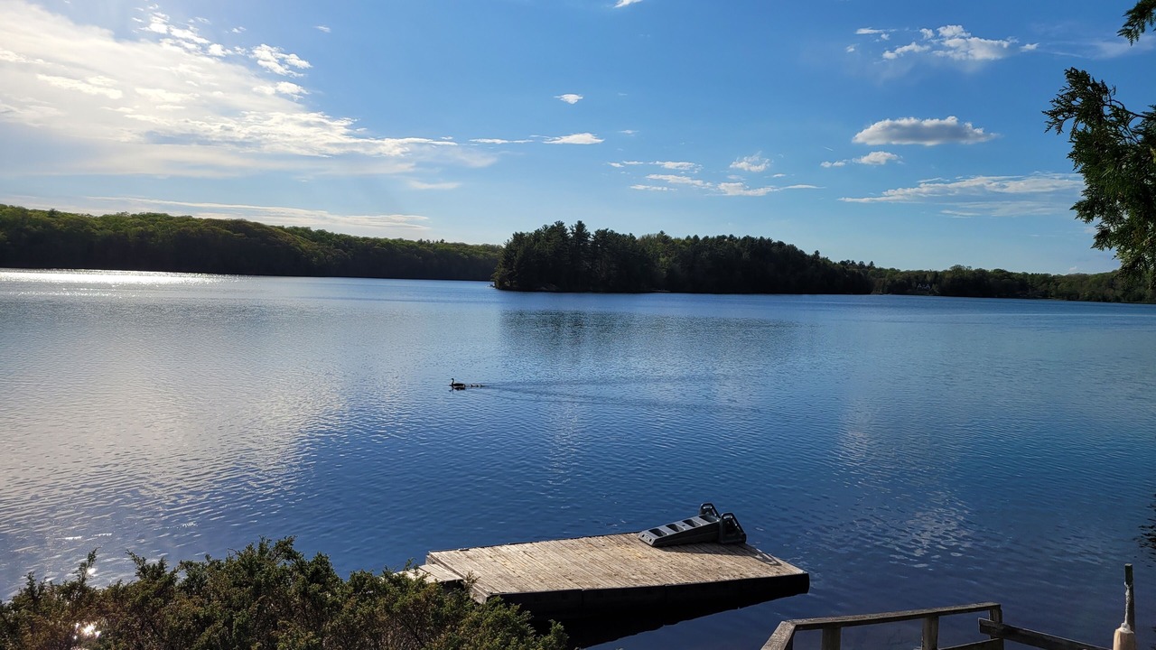 Photo of Outdoor in Seguin
