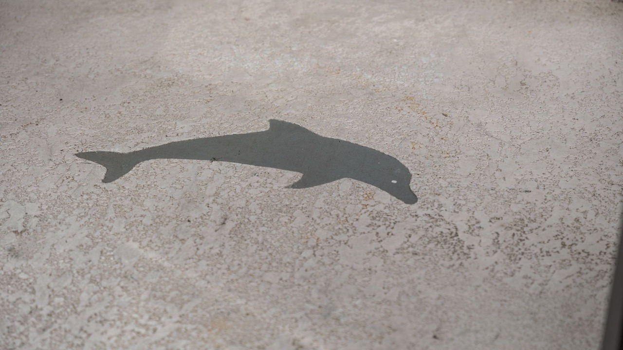 Photo of Others in Apollo Beach