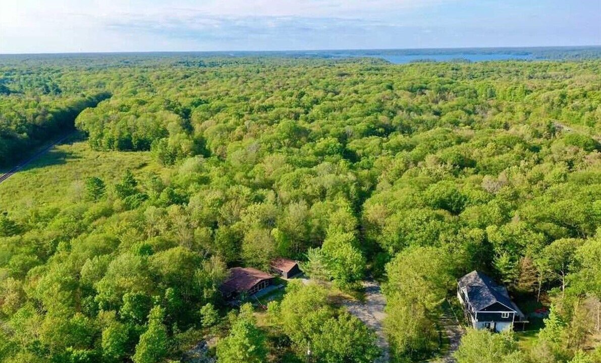Photo of Outdoor in Muskoka Lakes