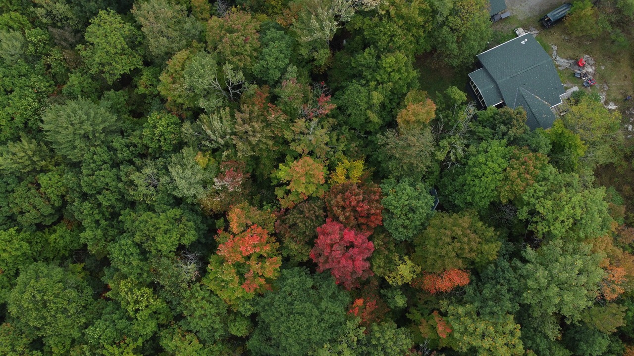 Photo of Outdoor in Muskoka Lakes