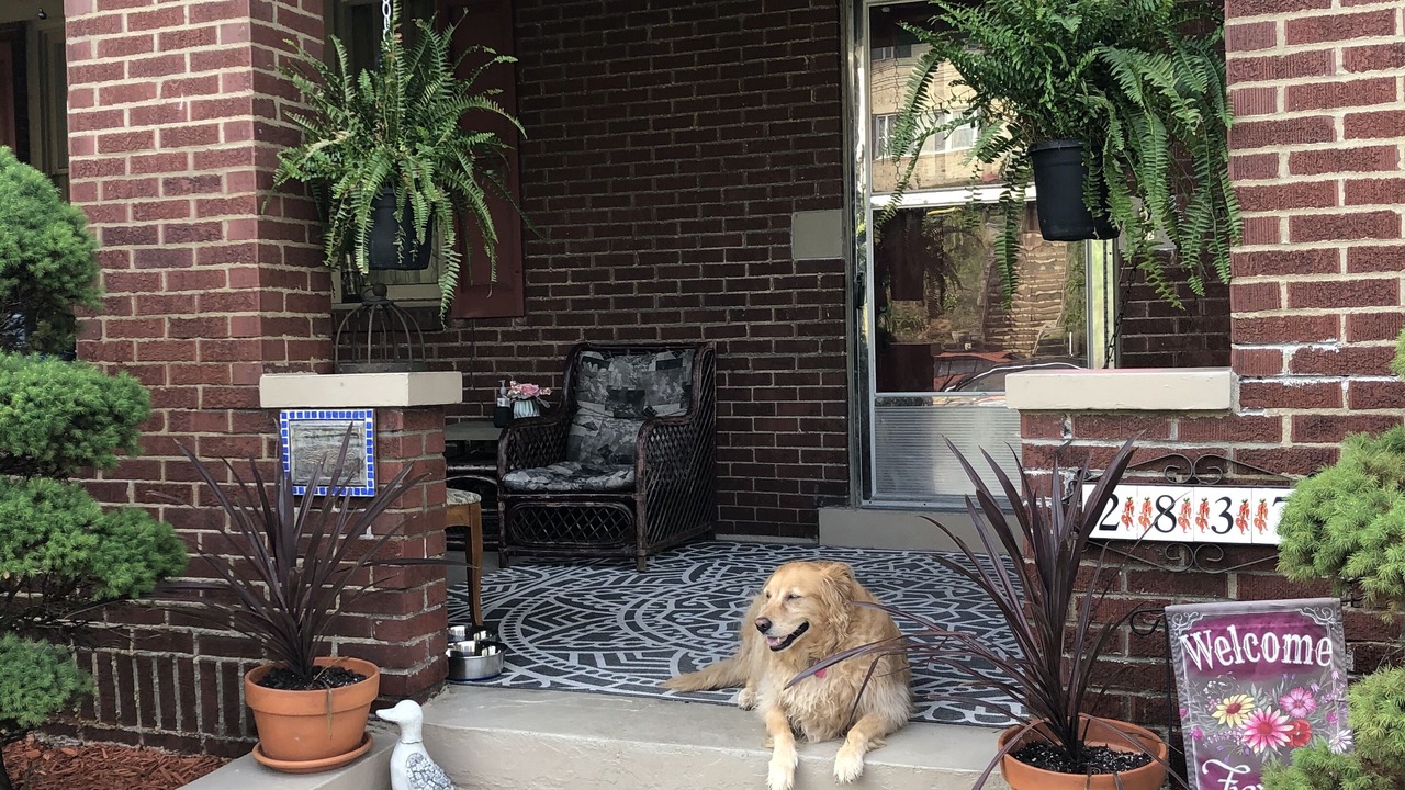 Photo of Outdoor in South Hills