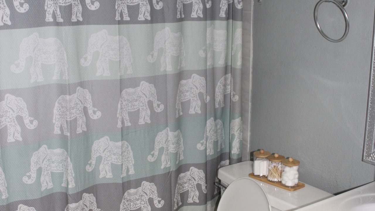Photo of Bathroom in East County Civic Group