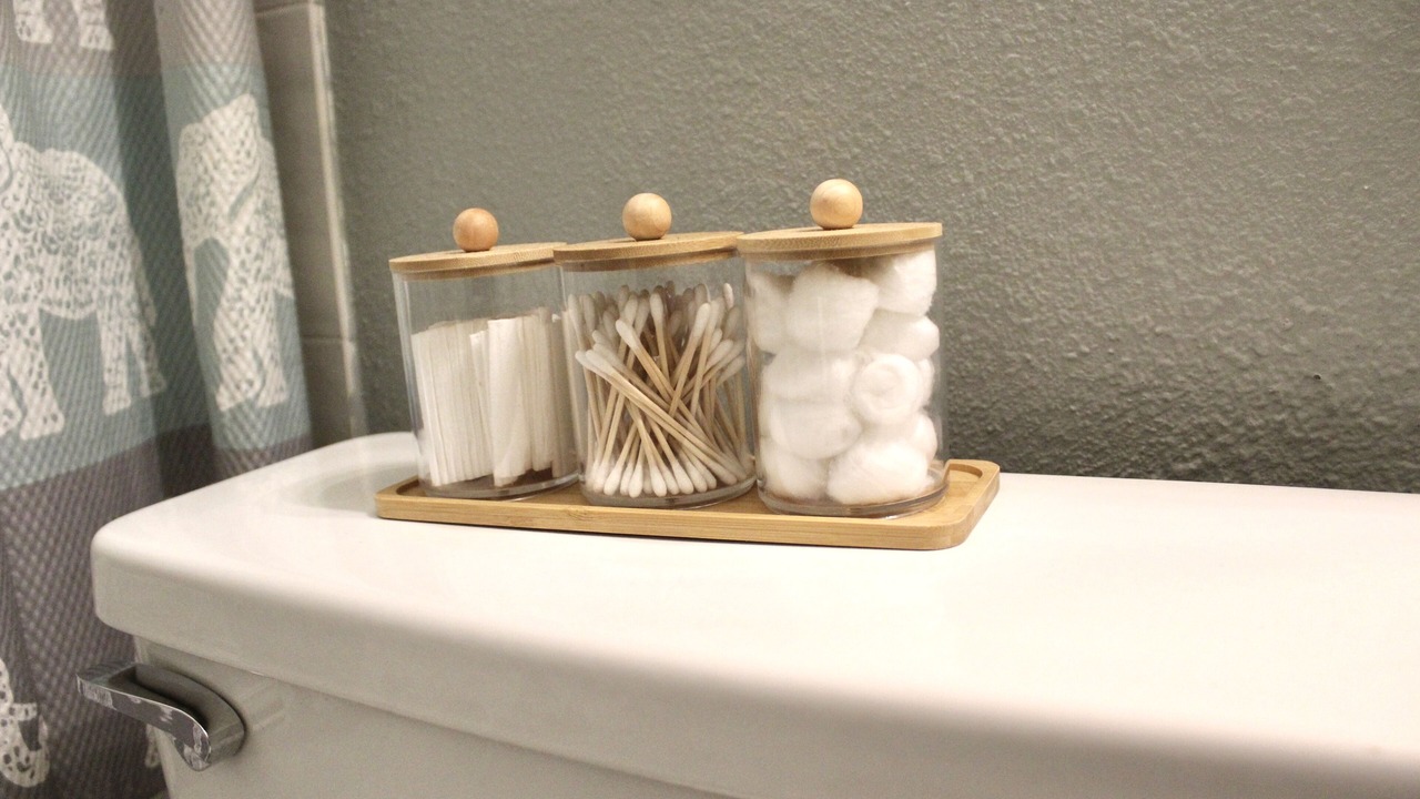 Photo of Bathroom in East County Civic Group