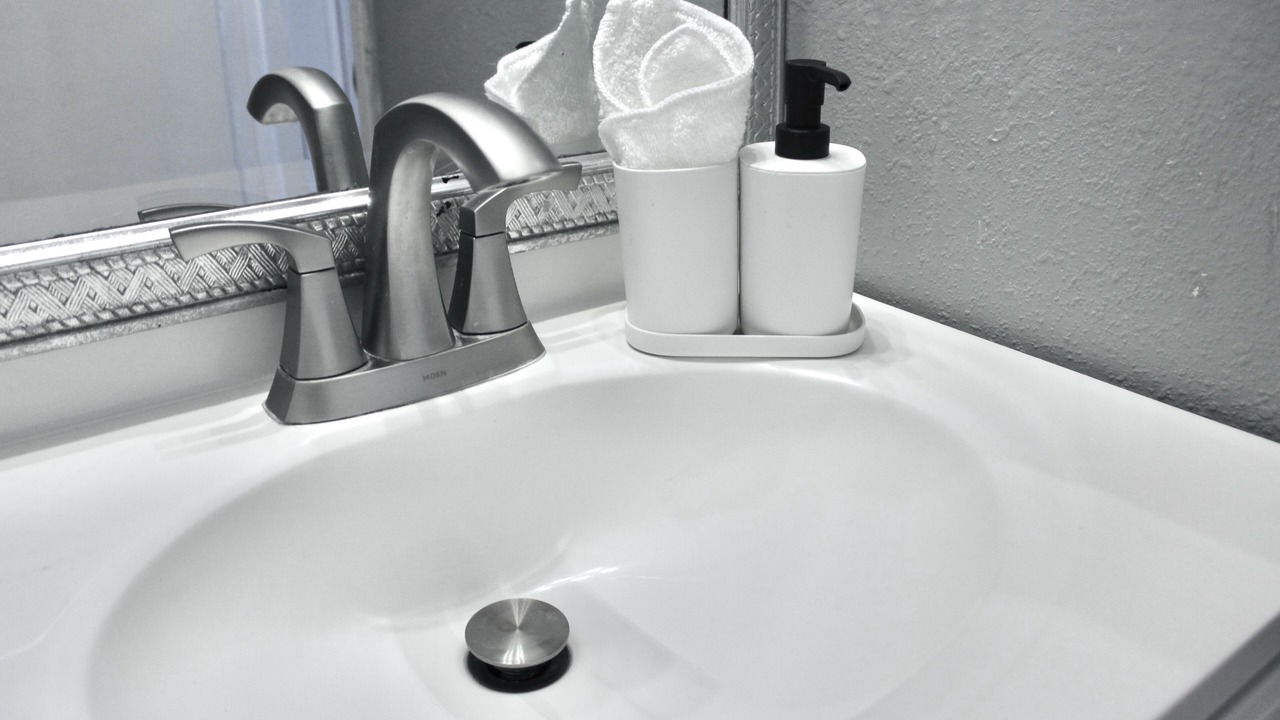 Photo of Bathroom in East County Civic Group