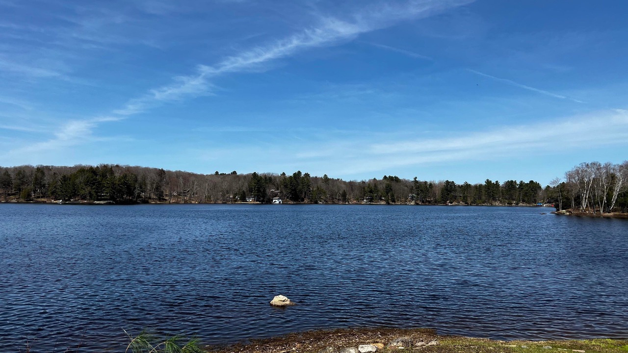 Photo of Outdoor in Muskoka Lakes