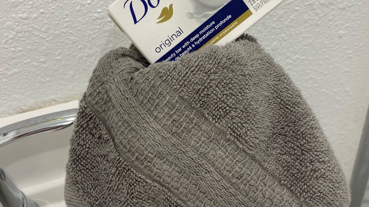 Photo of Bathroom in Citrus Park