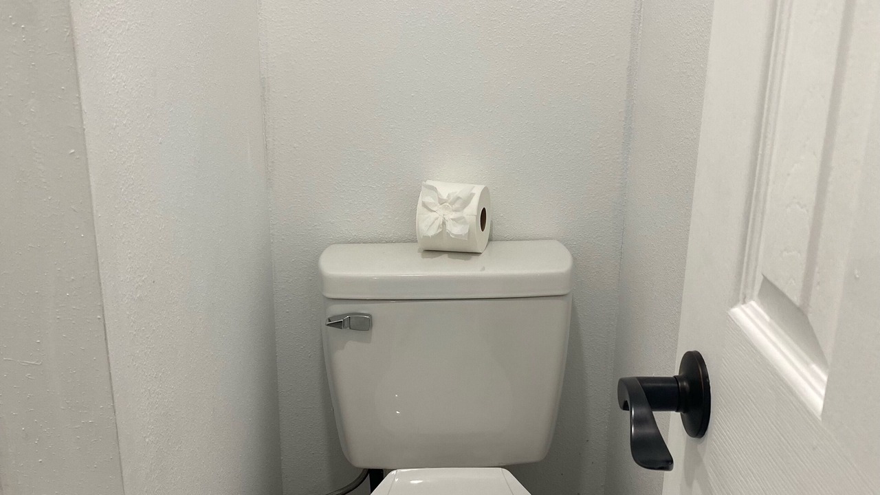 Photo of Bathroom in Citrus Park