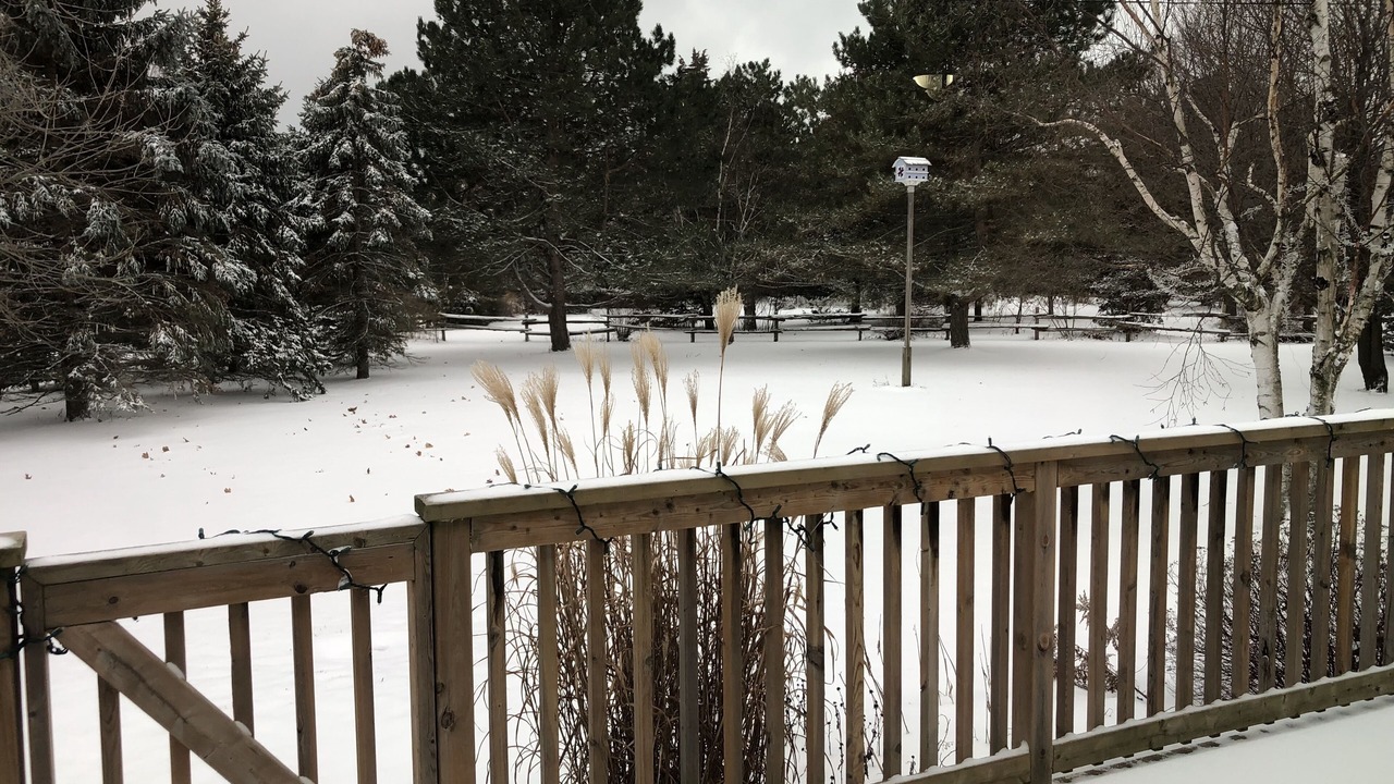 Photo of Outdoor in Picton