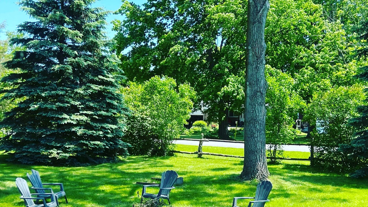 Photo of Outdoor in Picton