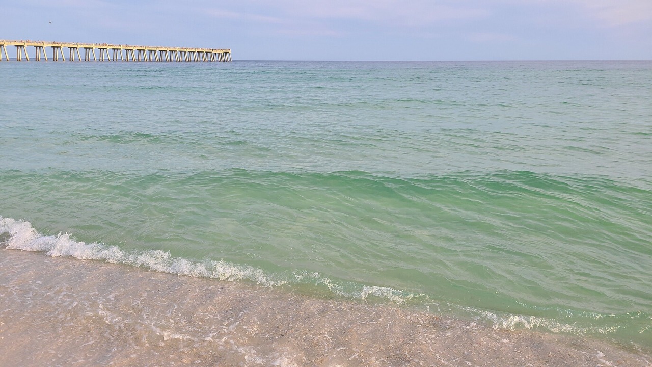 Photo of Others in Gulf Breeze