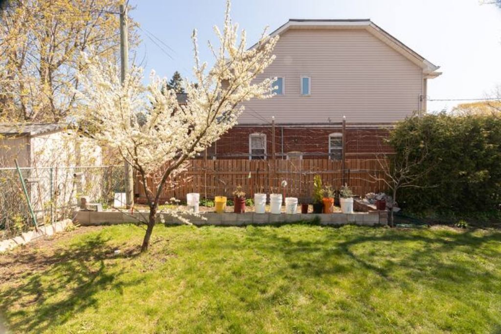 Photo of Outdoor in Willowdale