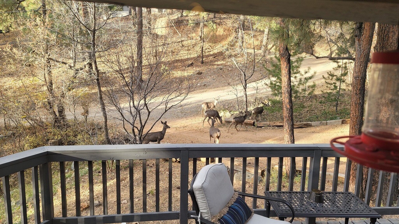 Photo of Outdoor in Prescott