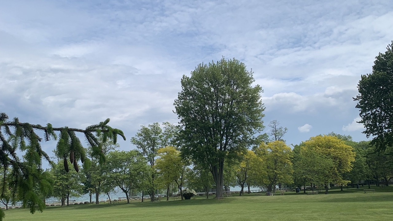 Photo of Others in Jacksons Point
