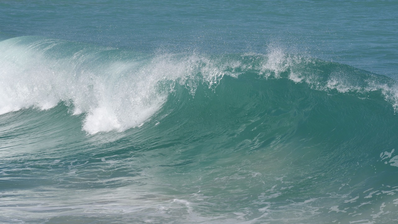 Photo of Others in Floridana Beach