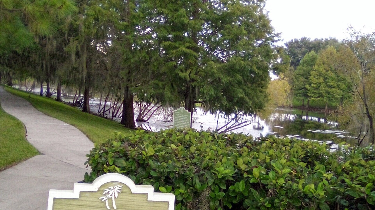 Photo of Others in Lake Davenport Estates