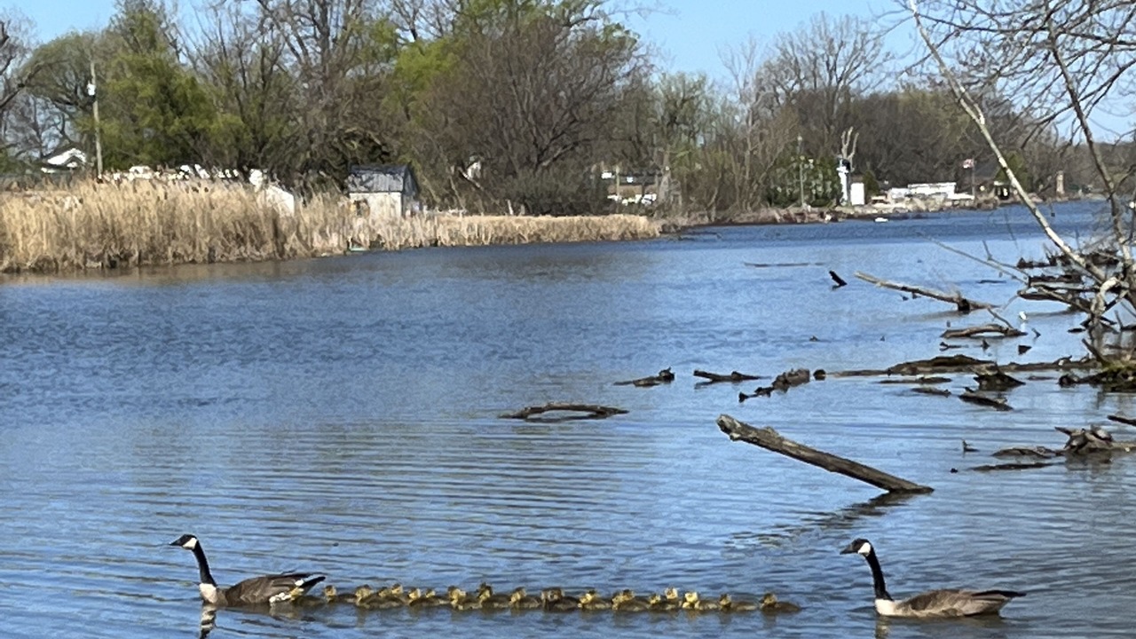 Photo of Outdoor in Amherstburg