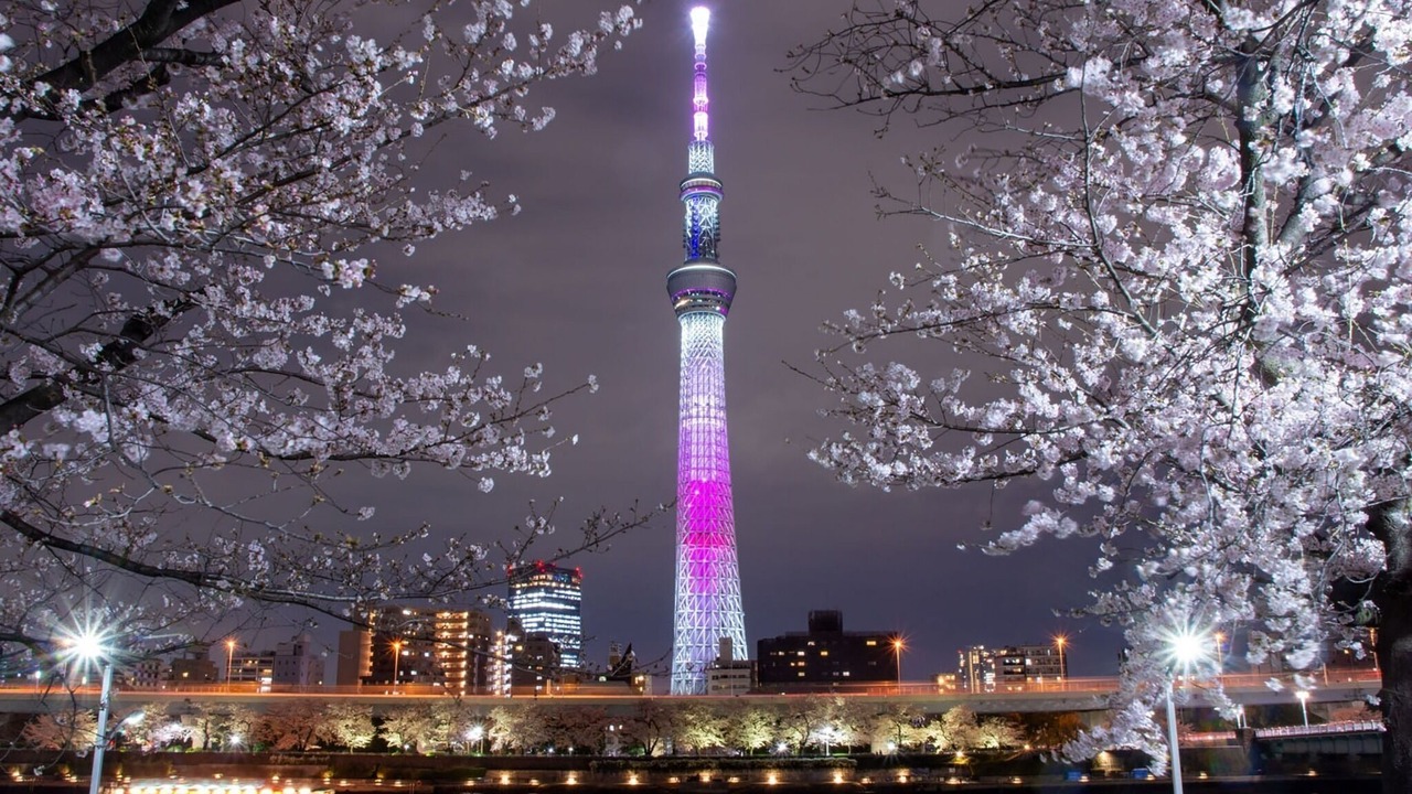 Photo of Others in Azumabashi