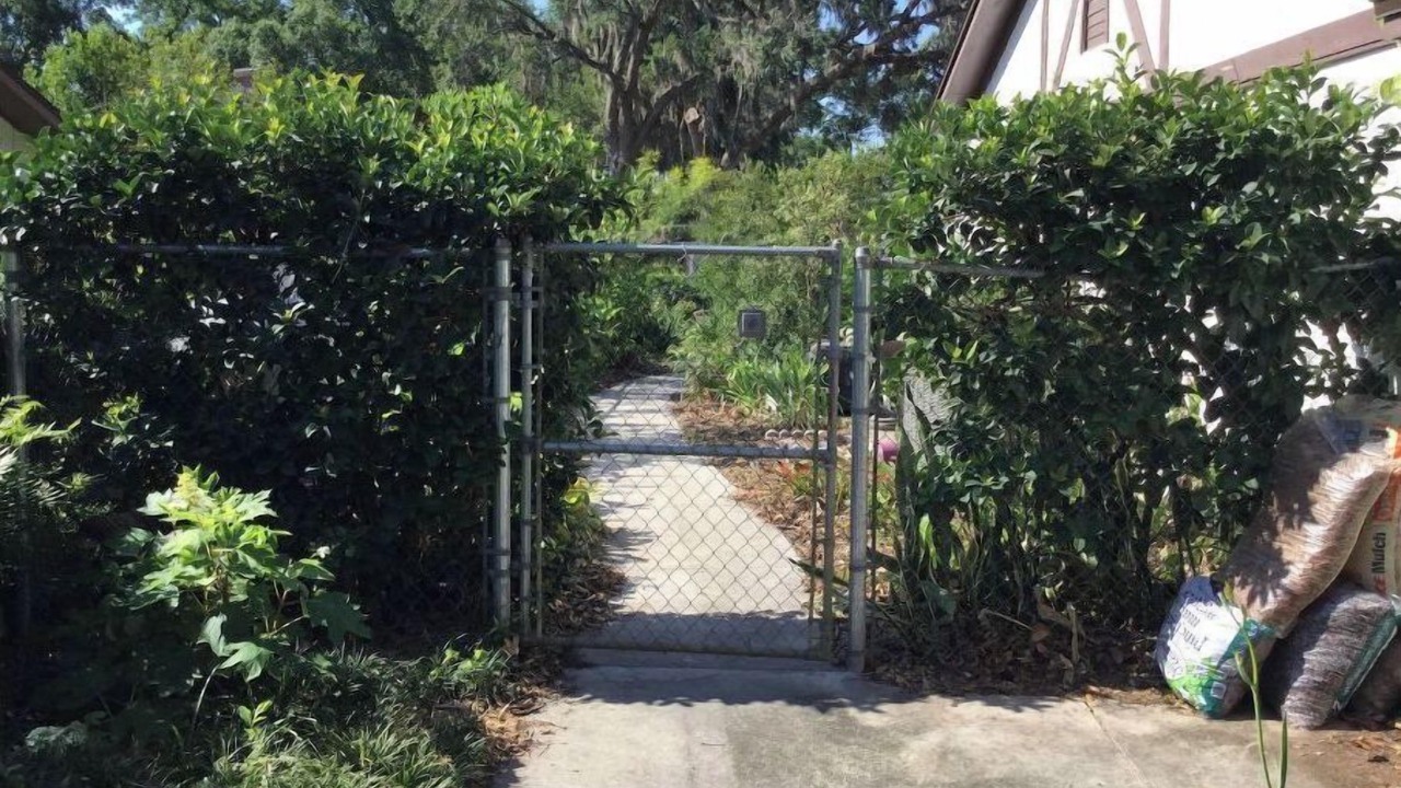 Photo of Outdoor in Orlando