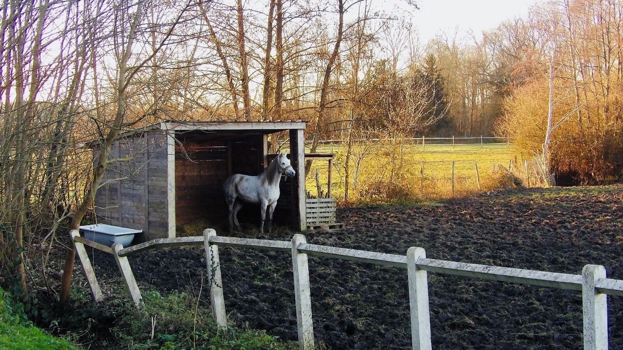 Photo of Others in Villeneuve-Saint-Denis