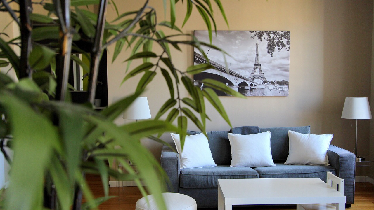 Photo of Livingroom in Serris