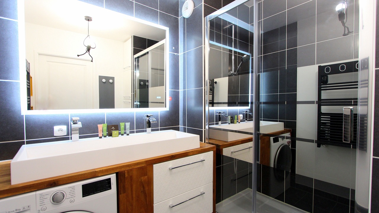 Photo of Bathroom in Serris