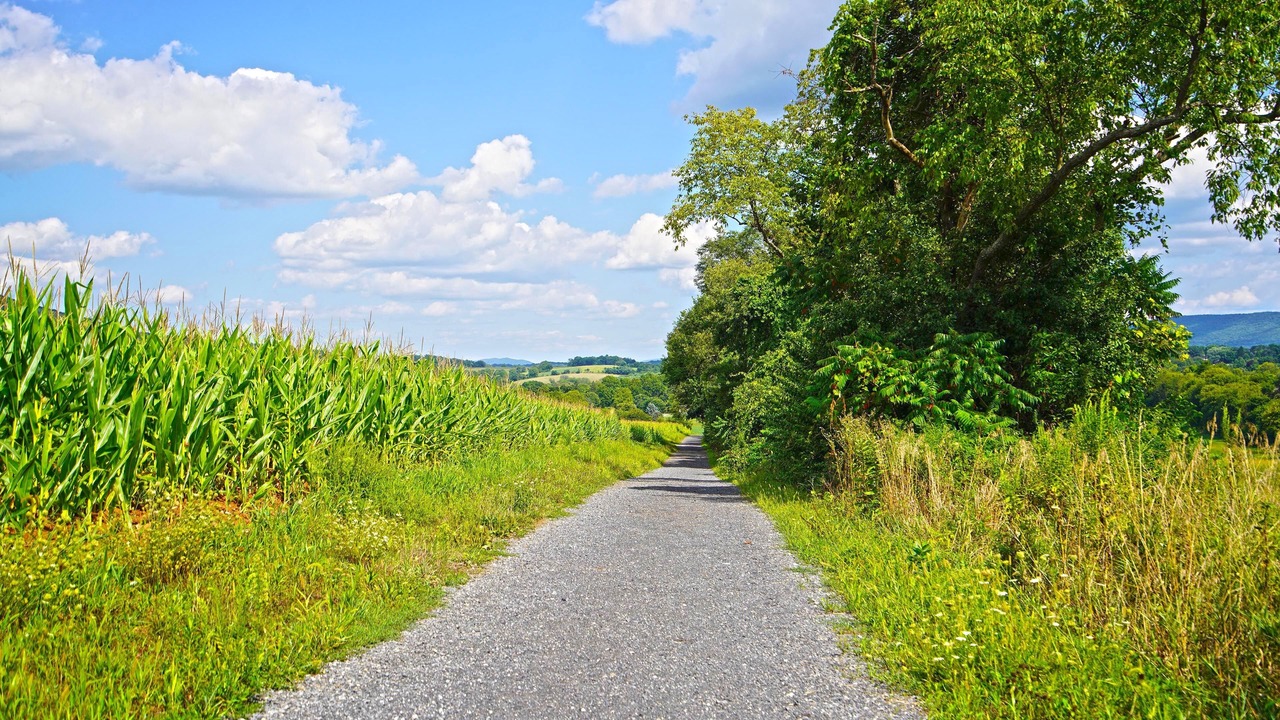 Photo of Outdoor in State College