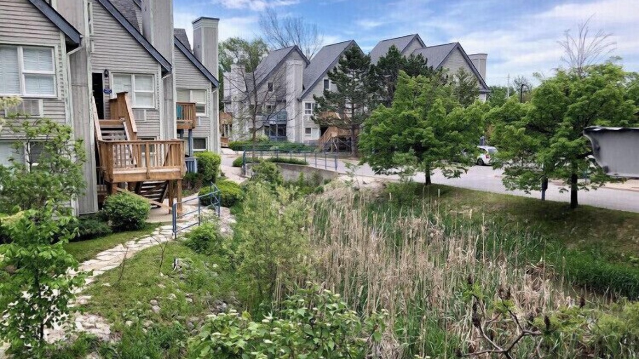 Photo of Outdoor in Craigleith