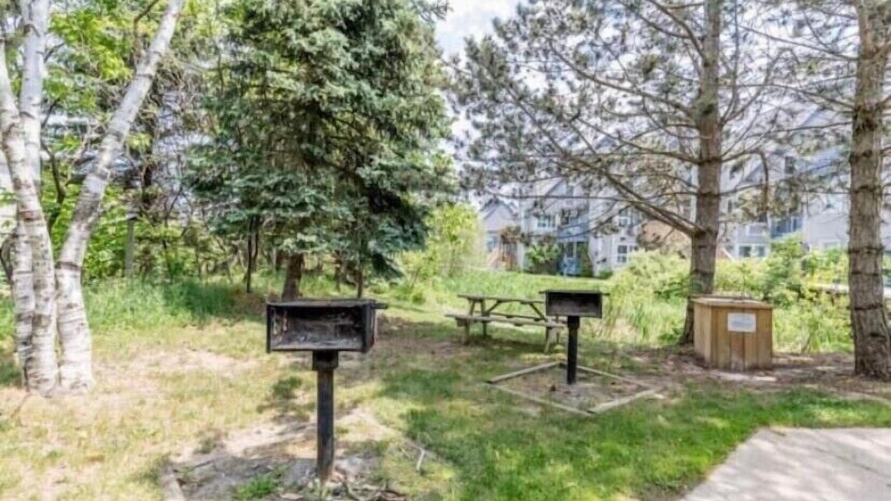 Photo of Outdoor in Craigleith