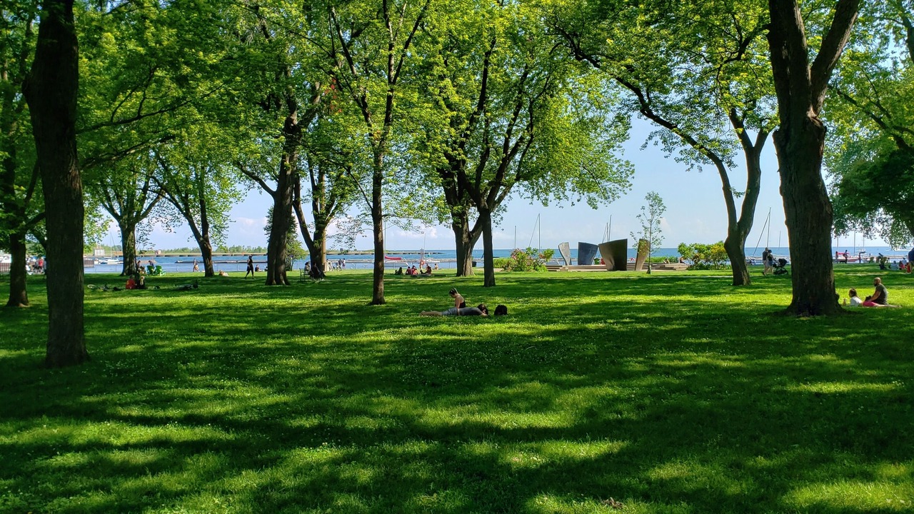 Photo of Others in Fort York
