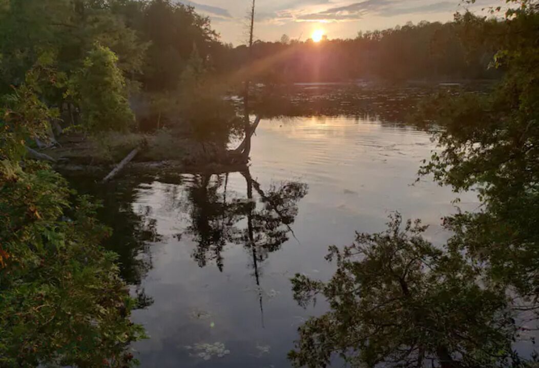 Photo of Others in Tay Valley