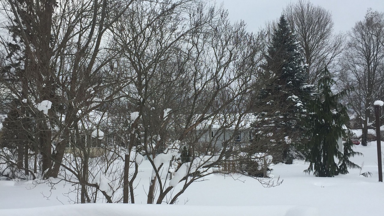 Photo of Outdoor in Port Elgin