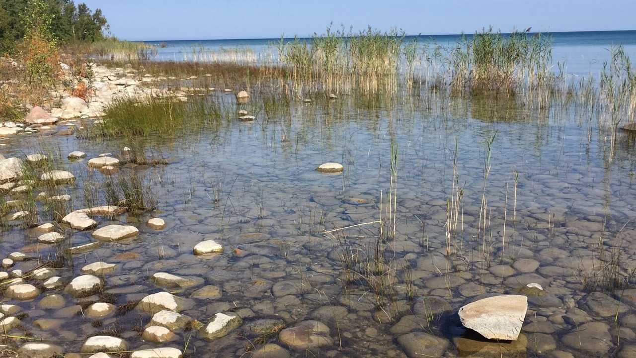 Photo of Others in Port Elgin
